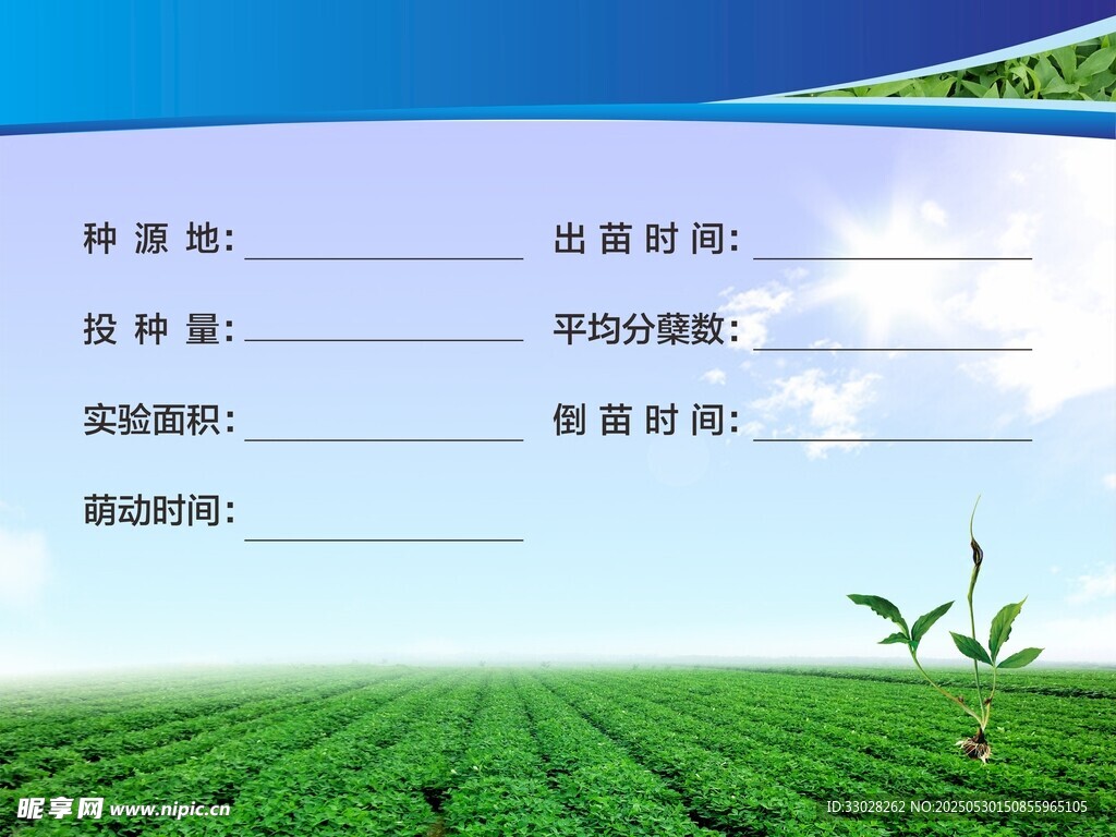 半夏种植记录
