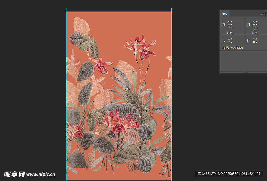 热带叶子花