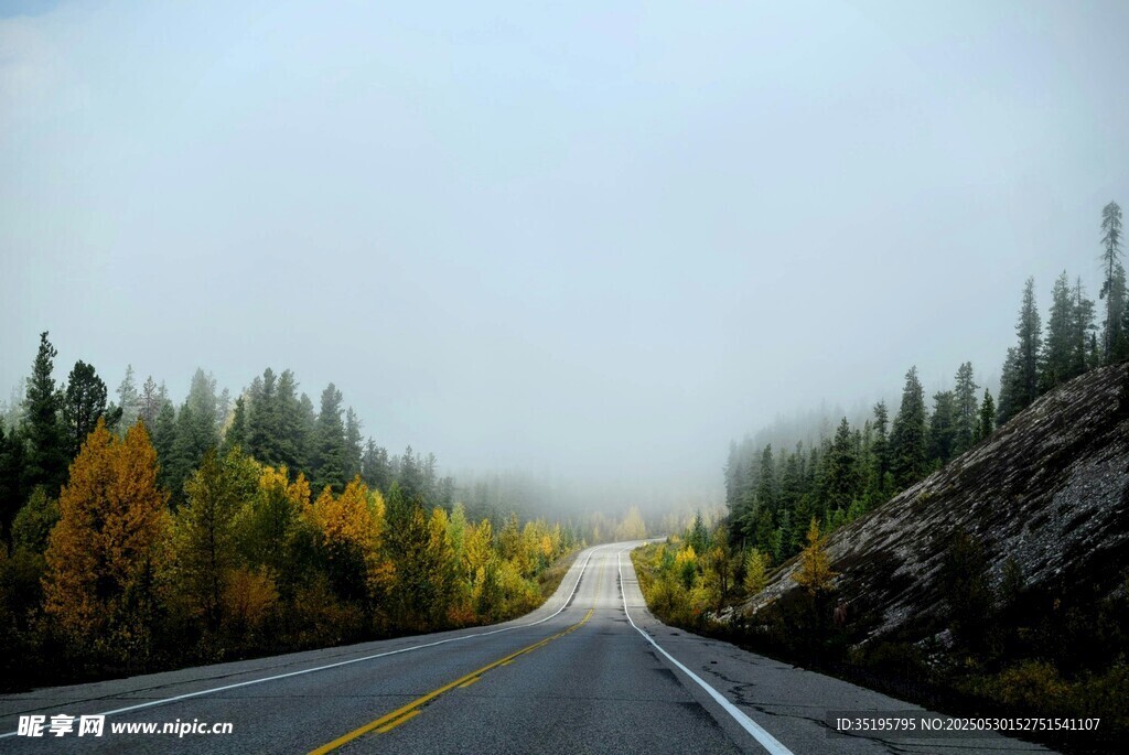 秋日林间公路美景