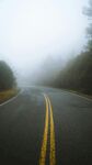 雾中蜿蜒公路