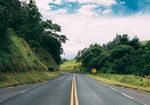 蜿蜒公路旁的葱郁景致