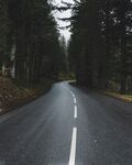 林间公路延伸向远方