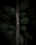 林间公路上的孤独骑行者