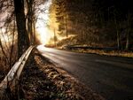 林间公路迎晨曦