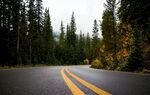 林间公路风景