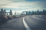 蜿蜒公路旁的葱郁树林