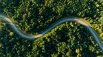 蜿蜒公路穿梭翠绿山林