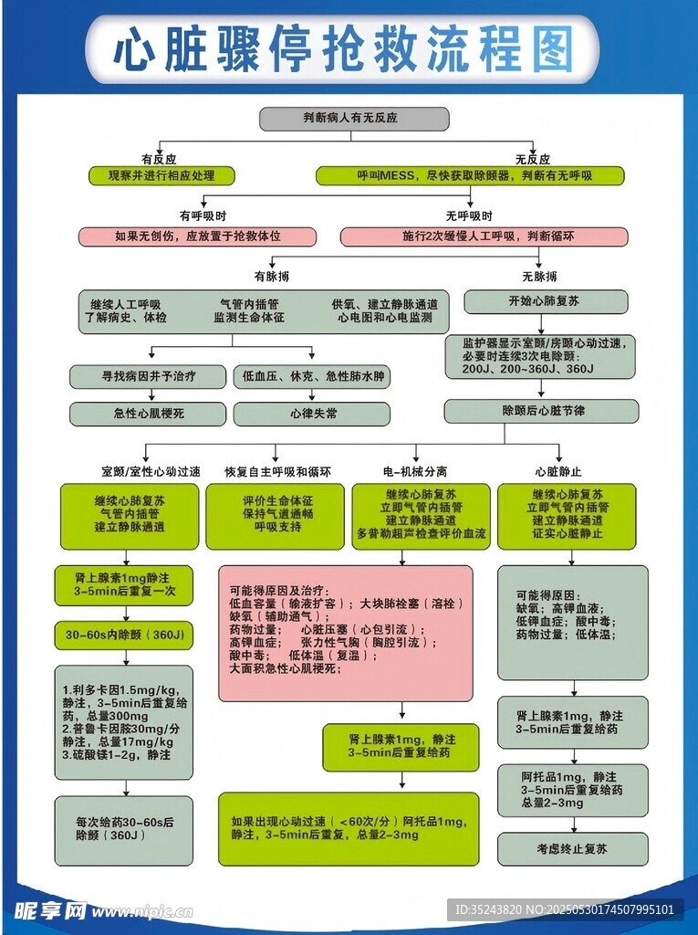 心脏骤停抢救流程图