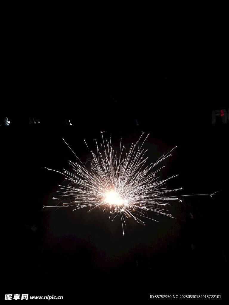 夜空中闪耀的绚烂烟花