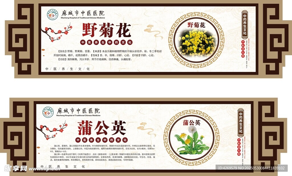 野生药材