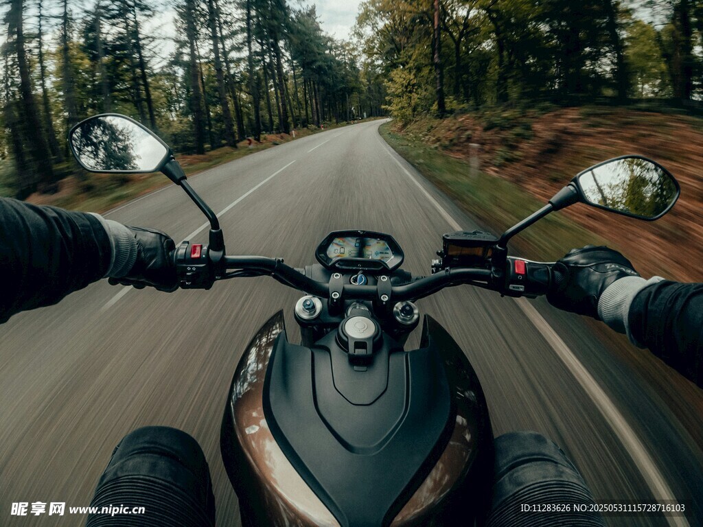 骑行视角下的林间公路