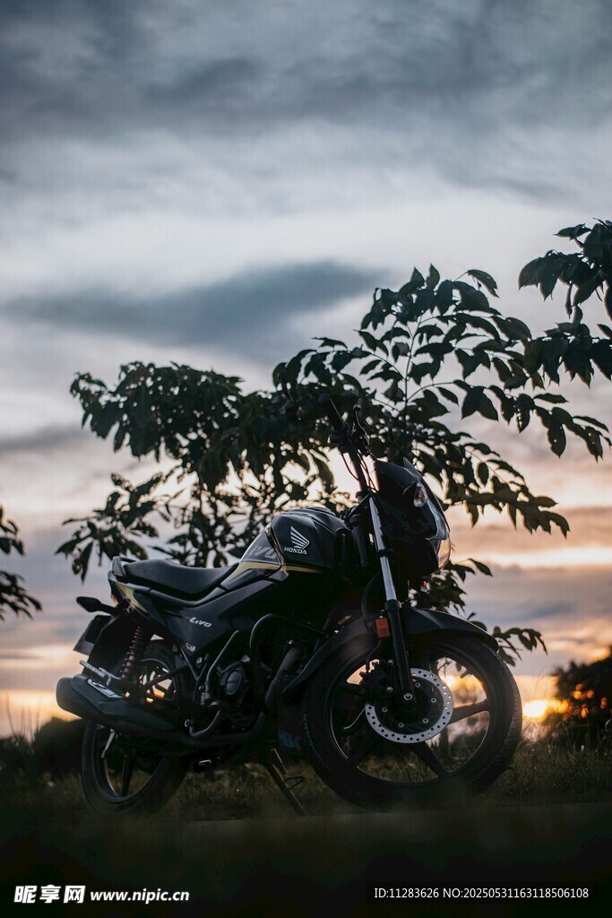 夕阳下的摩托车与繁茂树木