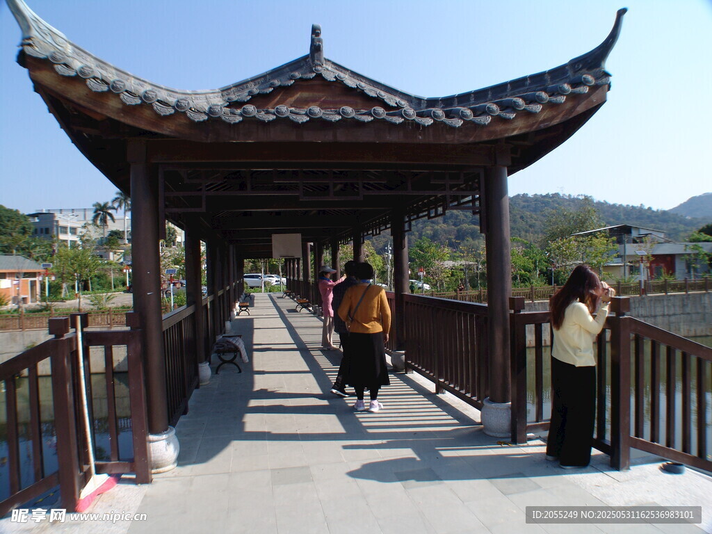 潮州市潮安区文词镇河塘村风铃木
