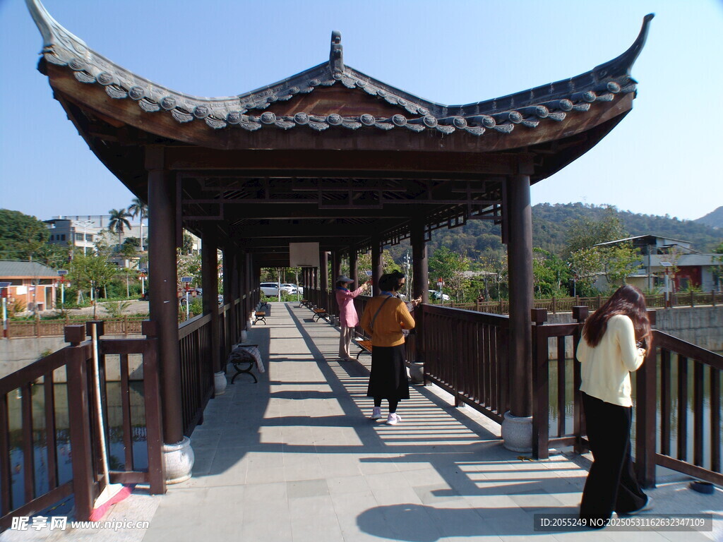潮州市潮安区文词镇河塘村风铃木