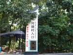 潮州市潮安区文词镇河塘村风铃木