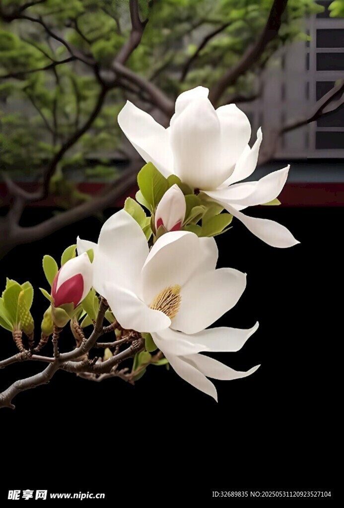 花
