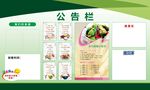 公告栏
