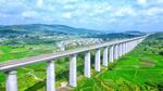 壮丽高架桥横跨绿野