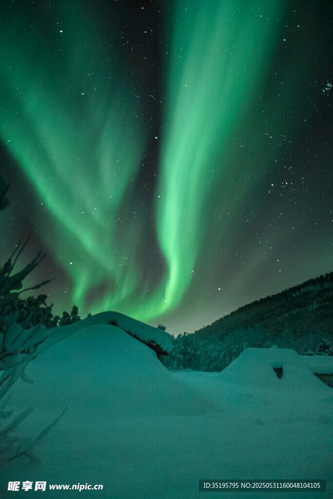 极光闪耀于雪夜山林间