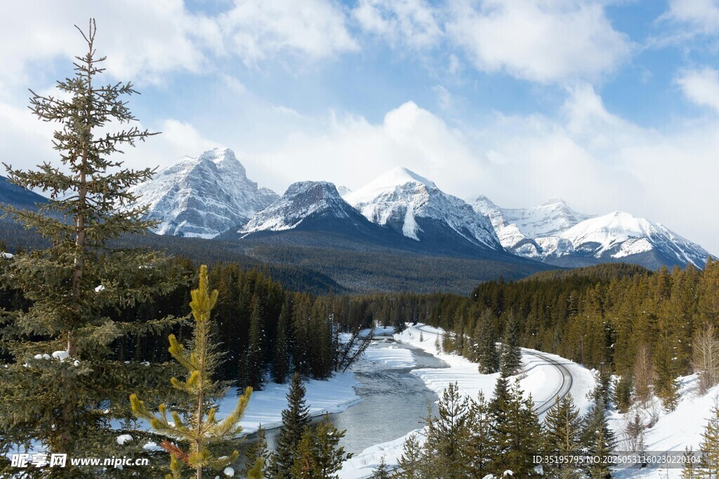 雪山森林间的冬日美景