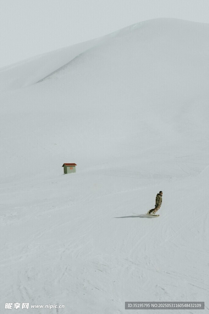 雪地中的动物身影