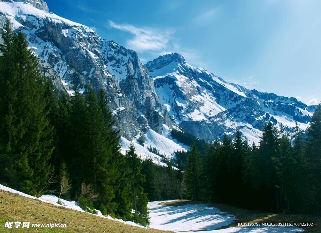 雪山森林美景