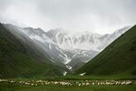 雪山下的翠绿山谷美景
