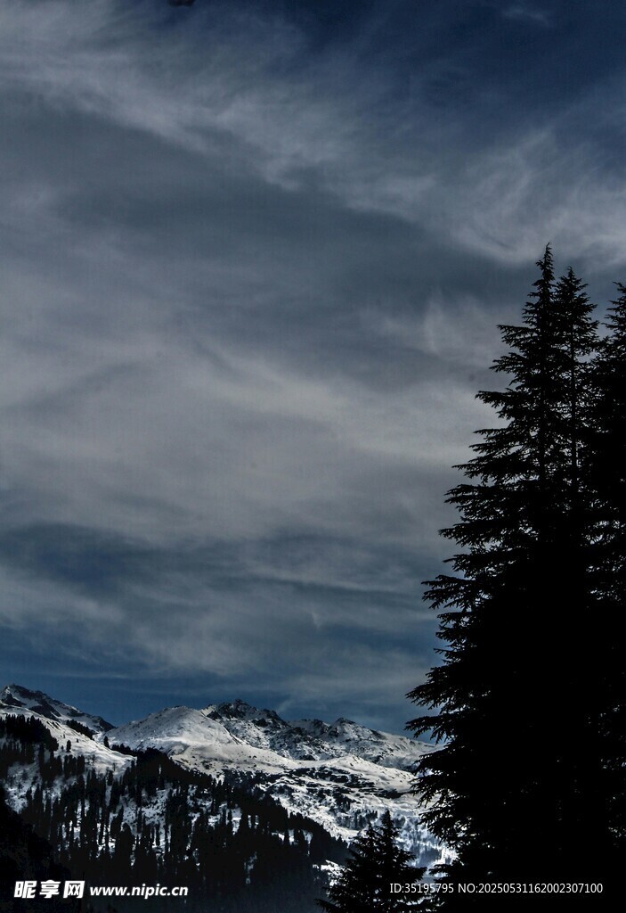 雪山松林间的阴沉天空