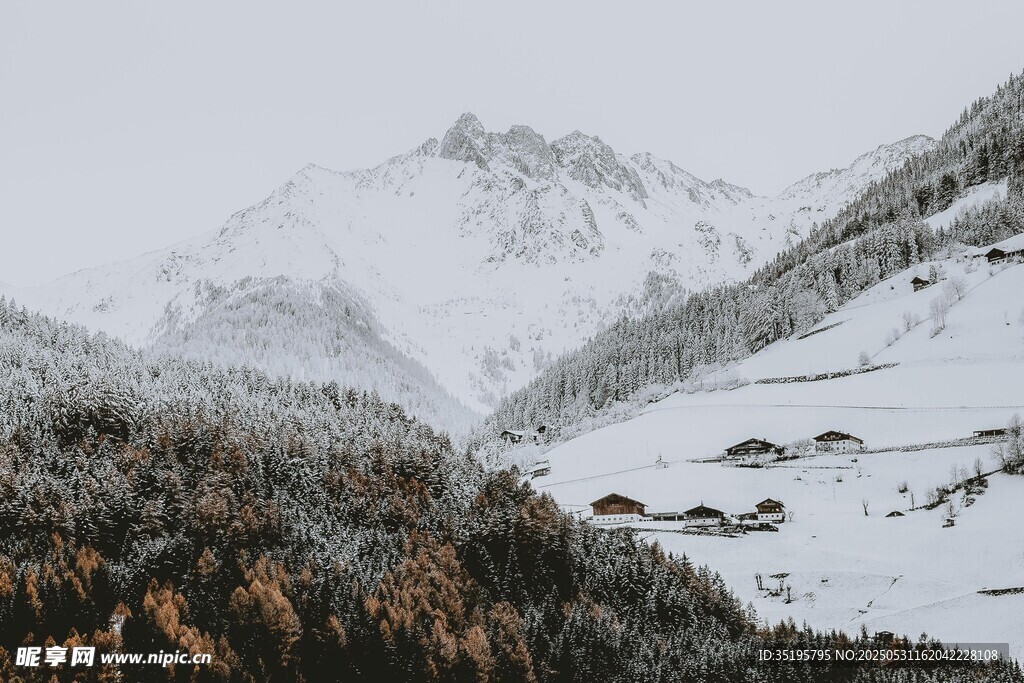 雪山下的静谧山林村落