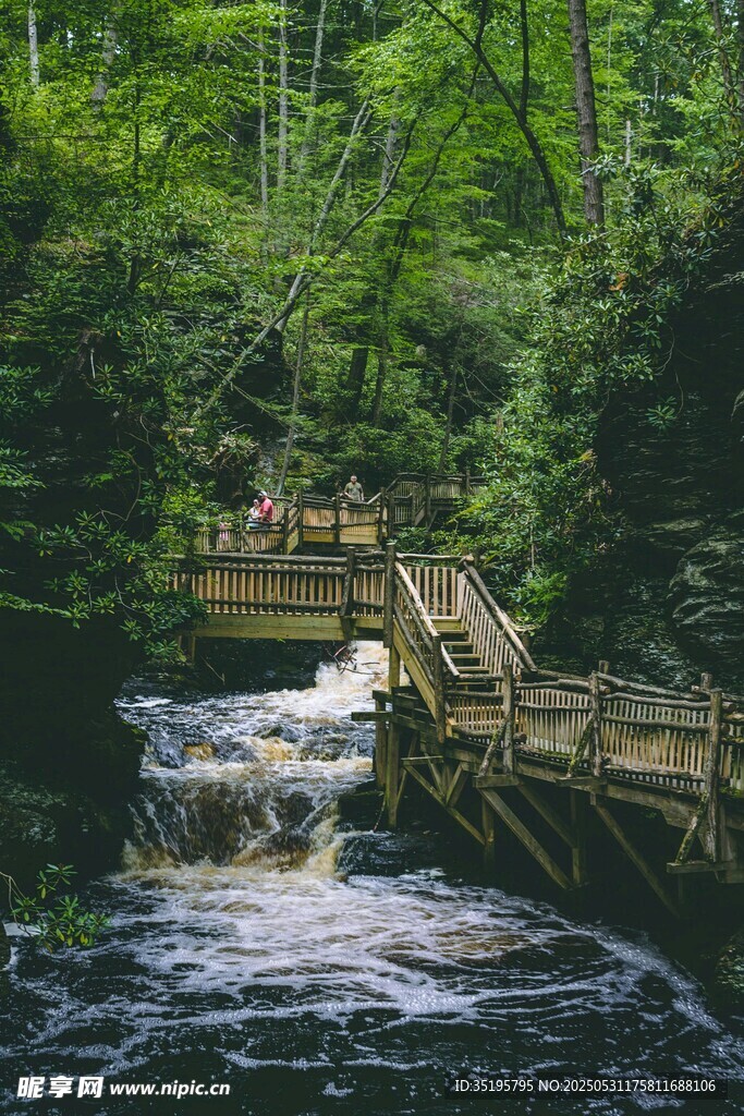 林间木桥跨溪流美景