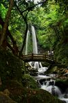 山林间的瀑布与木桥美景