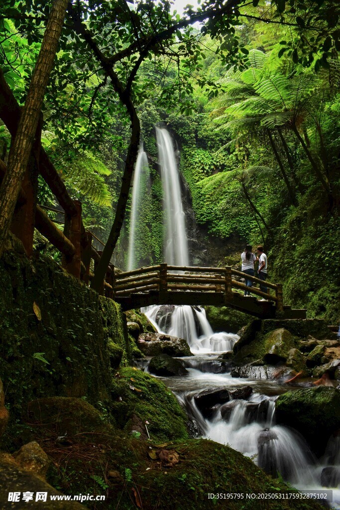 山林间的瀑布与木桥美景