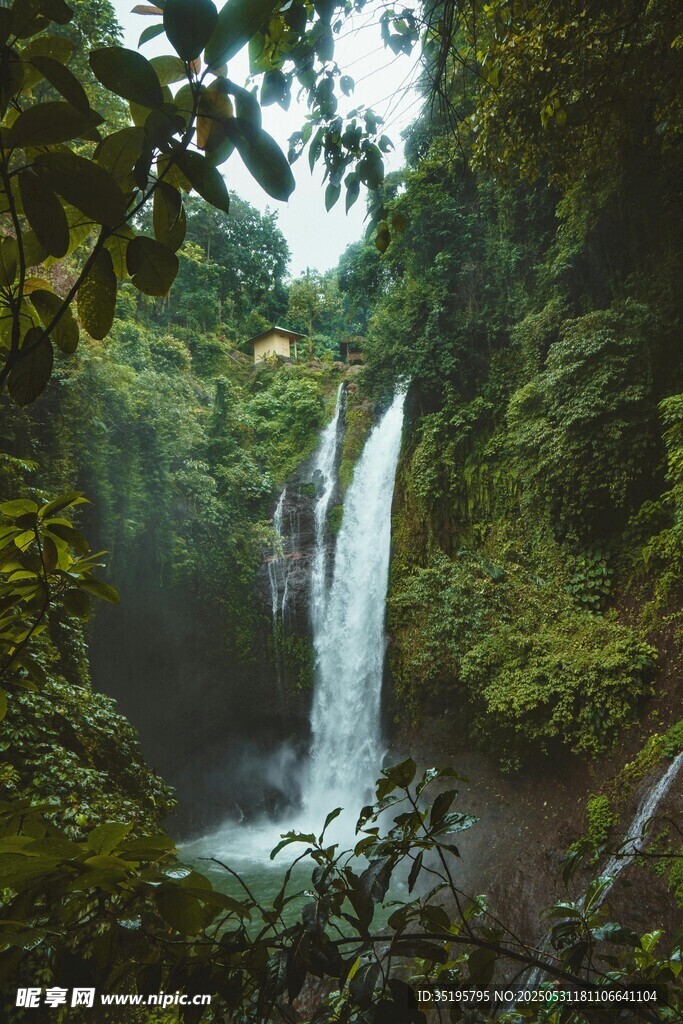 雨林中的壮丽瀑布景观