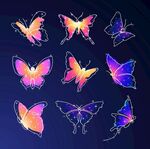 梦幻炫彩蝴蝶图案设计