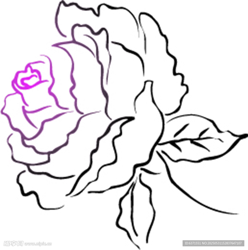 花边素材