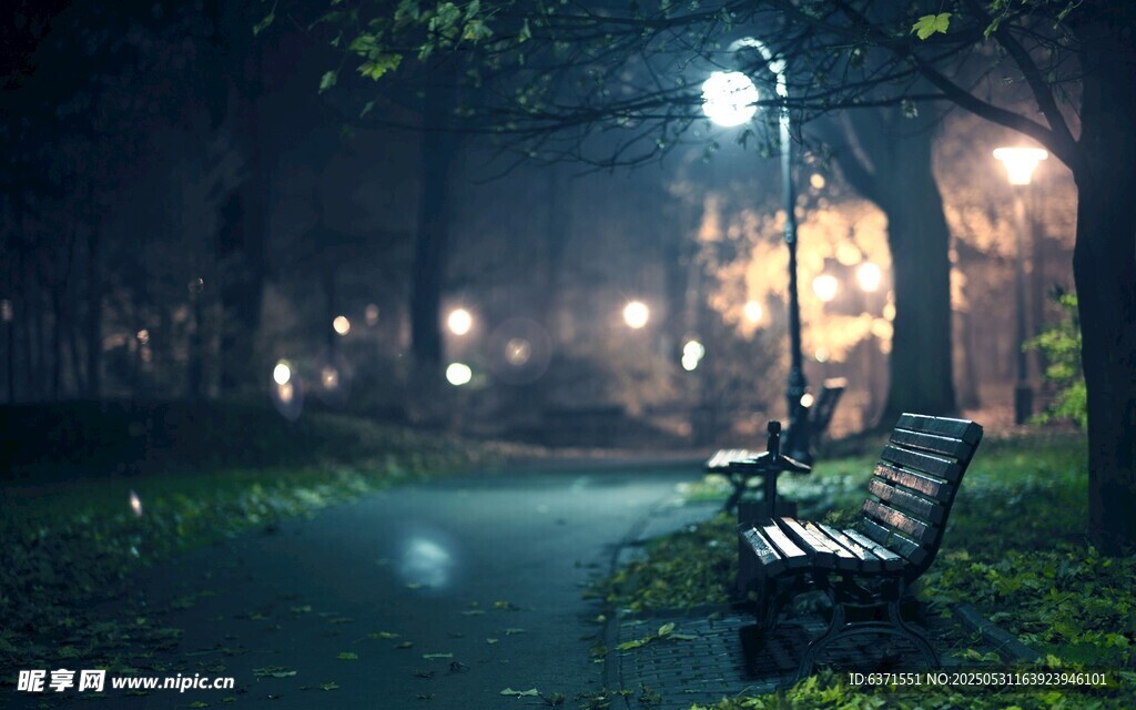 夜晚公园