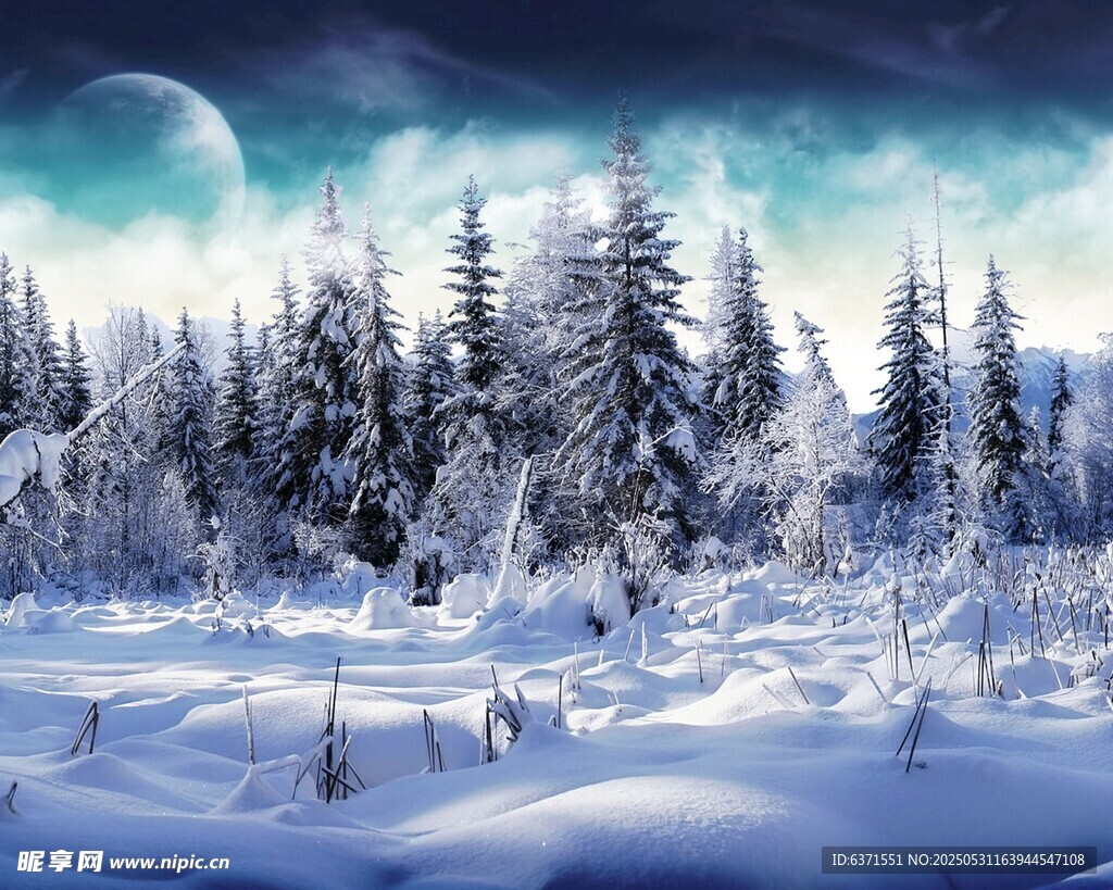 雪林合成背景