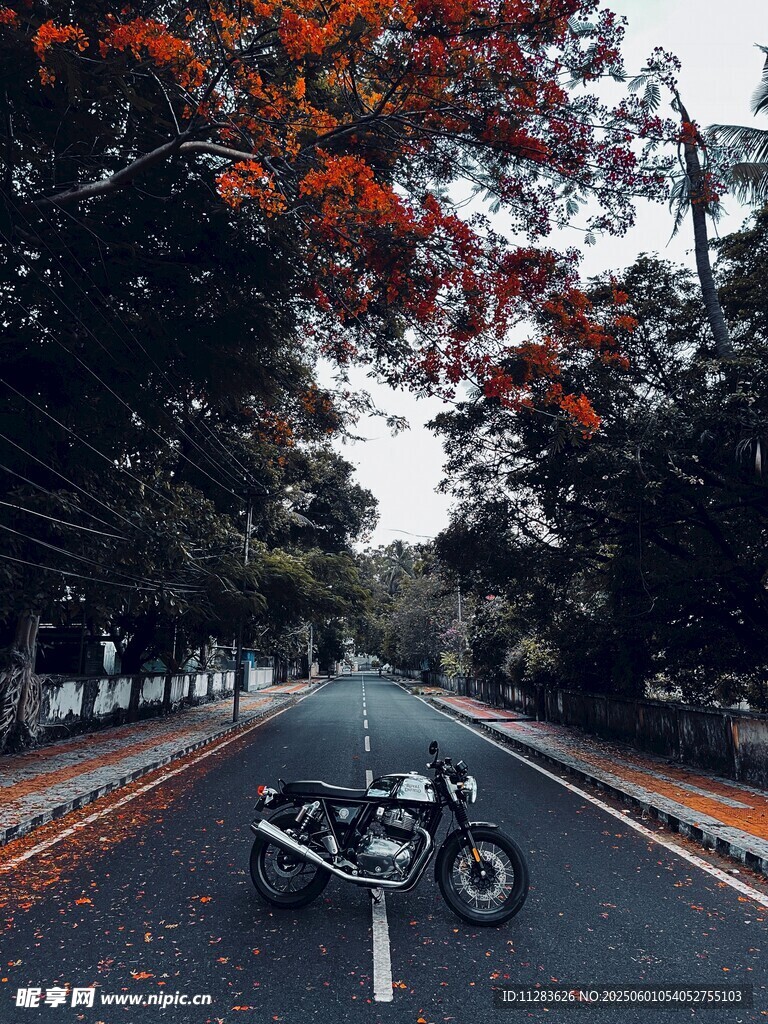 公路上的复古摩托车风景