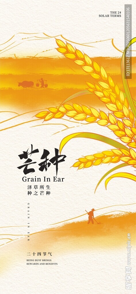 芒种时节 