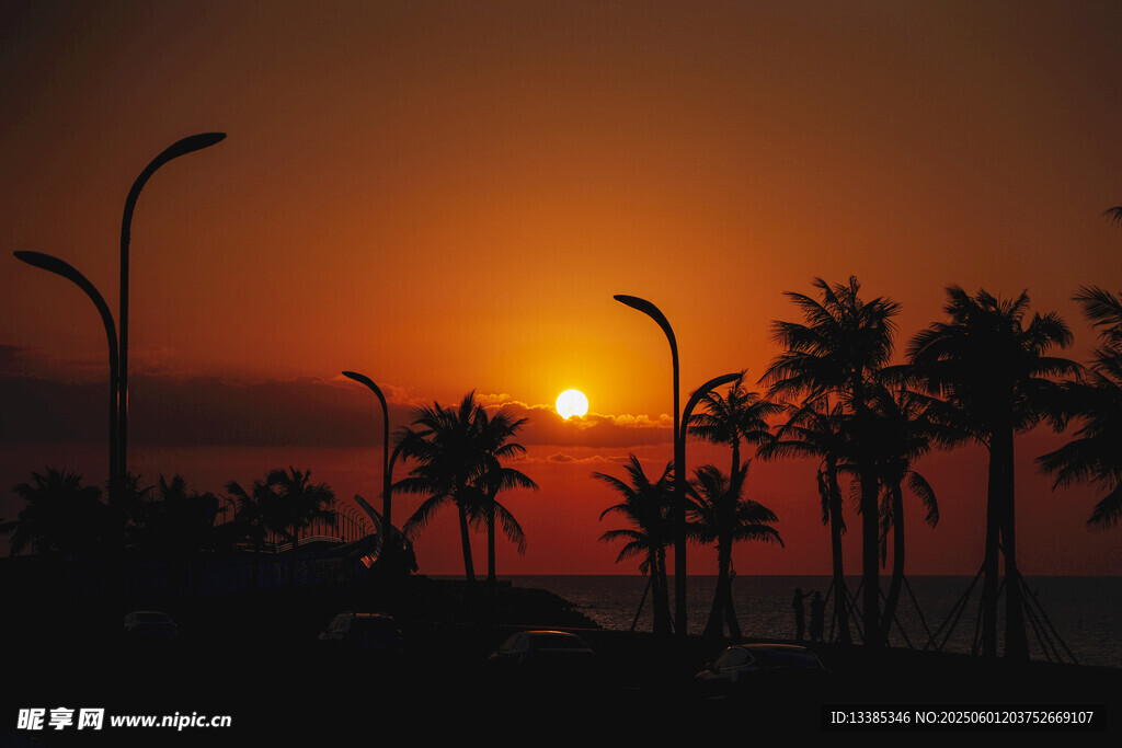 海南落日夕阳下的棕榈树剪影