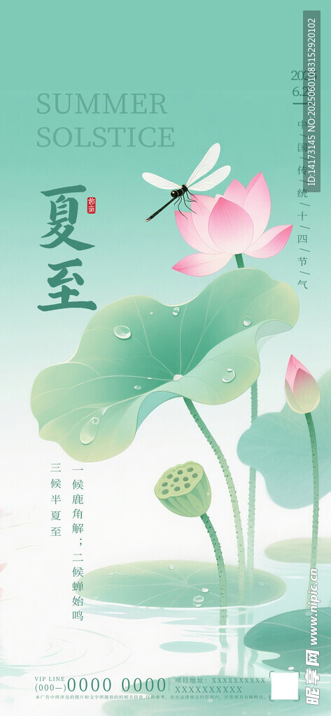 二十四节气夏至荷花海报