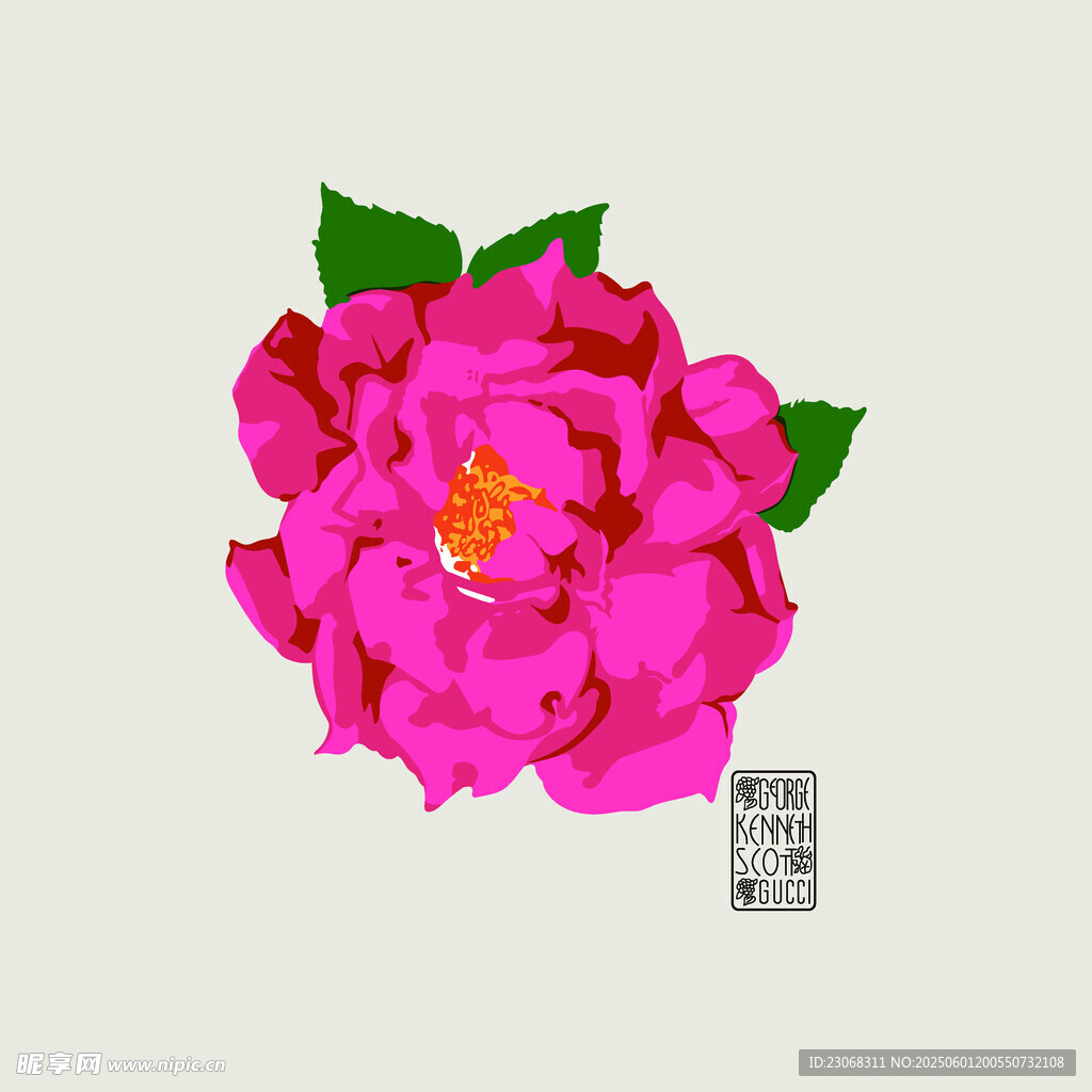 艳丽粉色牡丹花特写