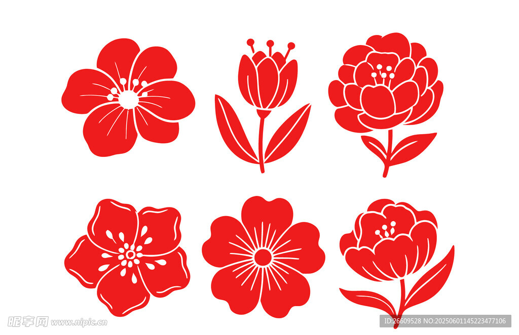 红色花卉