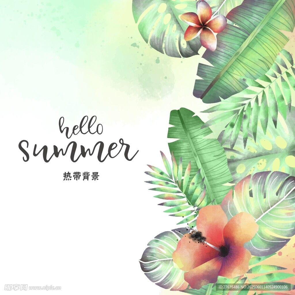 夏日花卉插画背景图