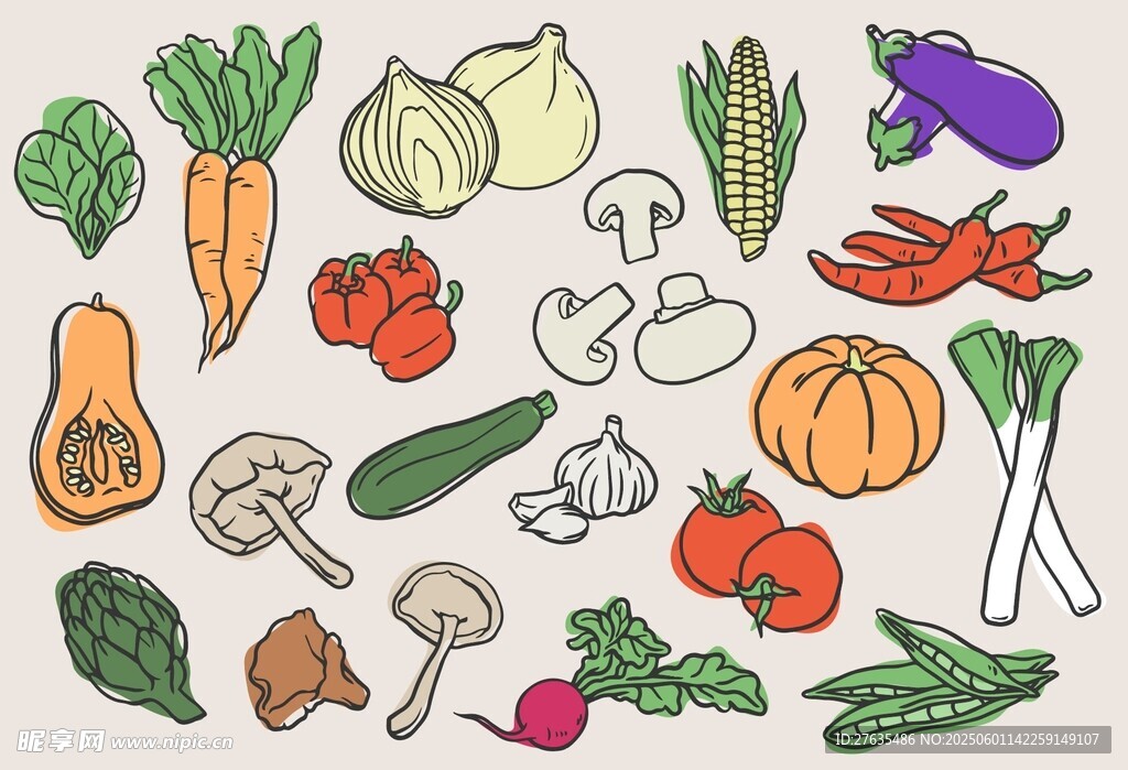 多彩蔬菜手绘插画集合