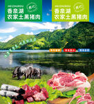 黑猪肉
