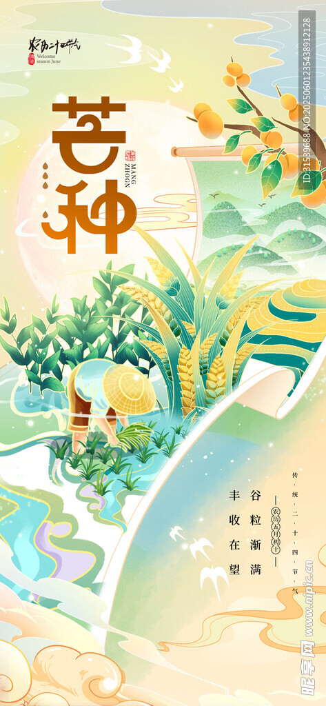 2025芒种卷轴插画风二十四节