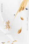 创意大气简约芒种节日节气海报