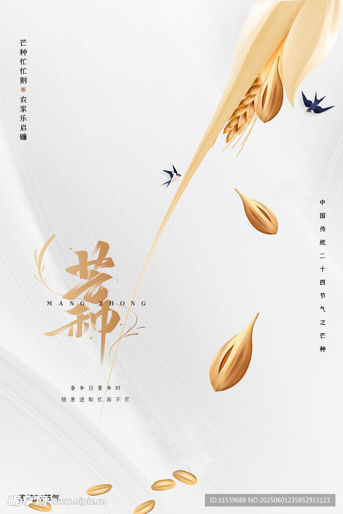 创意大气简约芒种节日节气海报
