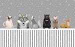 围栏边的可爱猫咪们